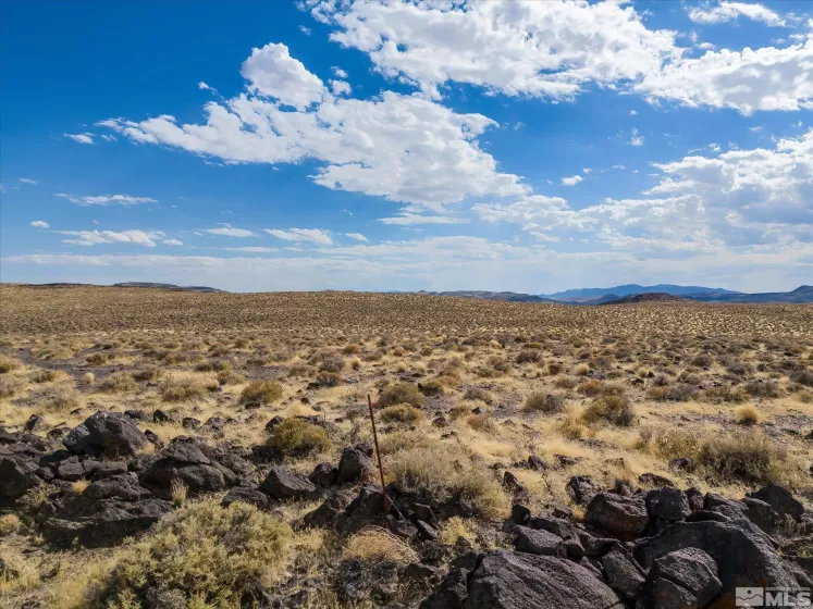 00702160 Churchill, Fallon, Nevada 89406, ,Land,For Sale,Churchill,240012927