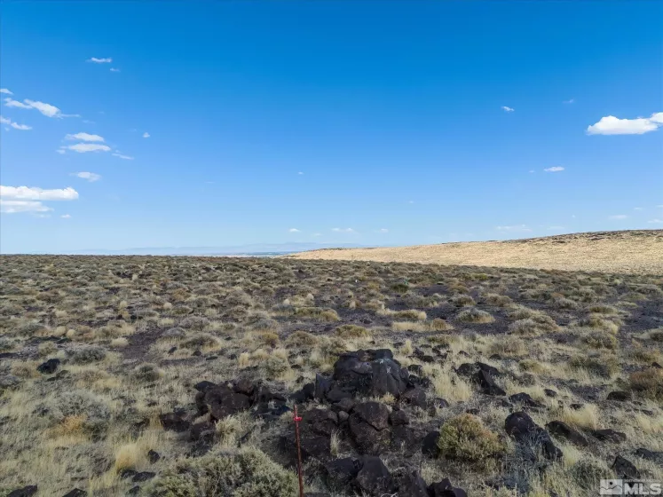 00702160 Churchill, Fallon, Nevada 89406, ,Land,For Sale,Churchill,240012927