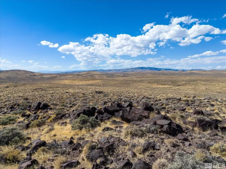 00702160 Churchill, Fallon, Nevada 89406, ,Land,For Sale,Churchill,240012927