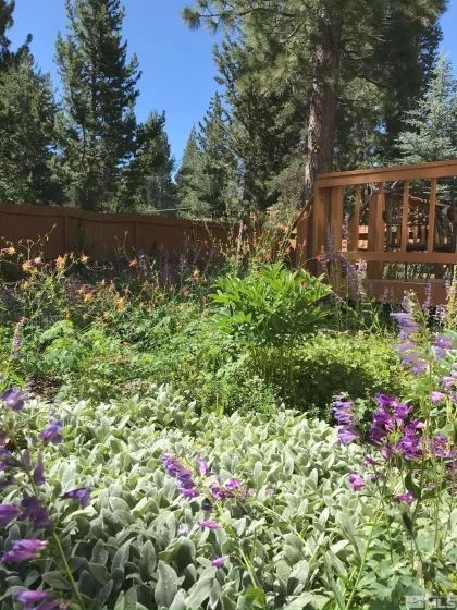 1118 Sioux St, South Lake Tahoe, California 96150, 3 Bedrooms Bedrooms, ,3 BathroomsBathrooms,Residential,For Sale,Sioux St,240012945