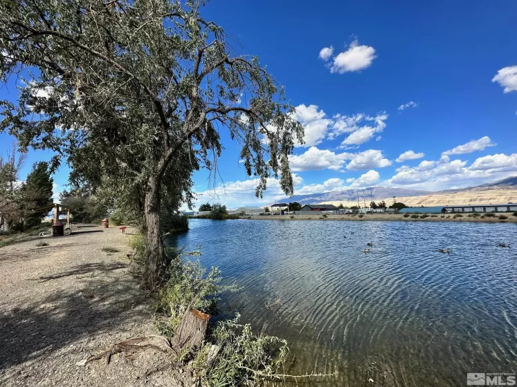 20 Mahogany Blvd, Hadley, Nevada 89045, 4 Bedrooms Bedrooms, ,3 BathroomsBathrooms,Residential,For Sale,Mahogany Blvd,240010682