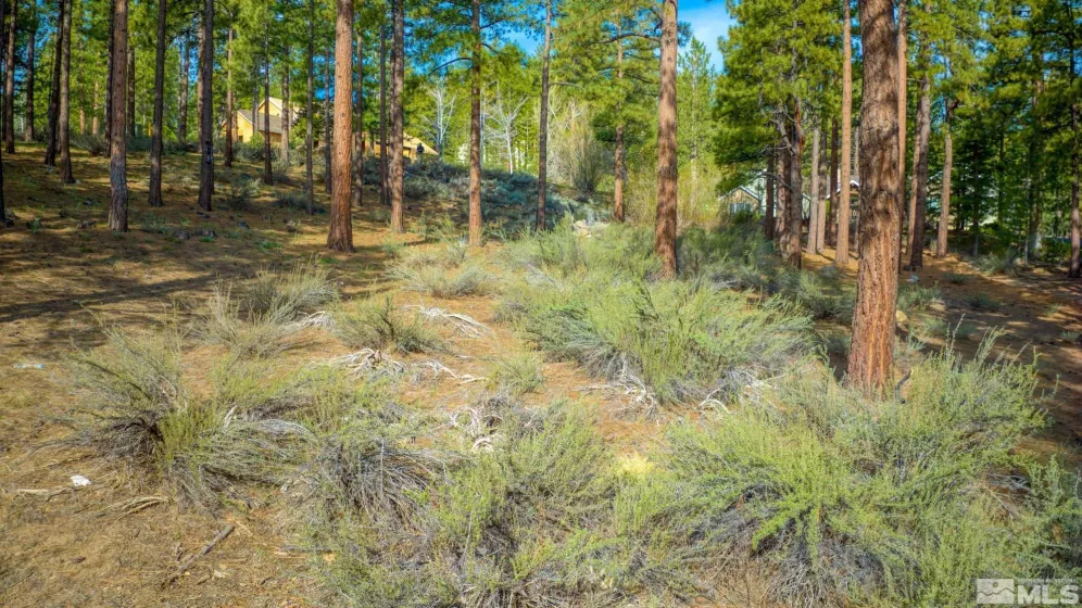 22 Rose Creek Ln, Reno, Nevada 89511, ,Land,For Sale,Rose Creek Ln,240005742