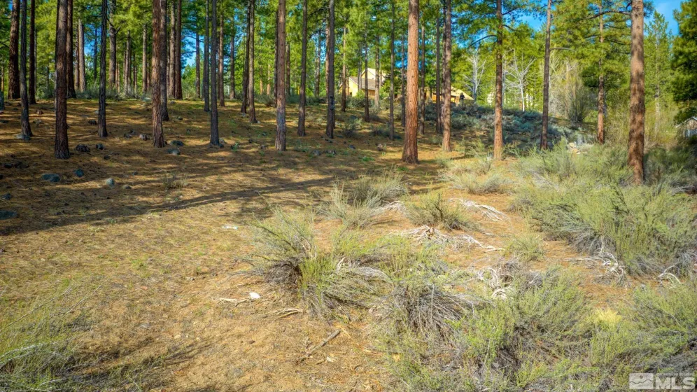 22 Rose Creek Ln, Reno, Nevada 89511, ,Land,For Sale,Rose Creek Ln,240005742