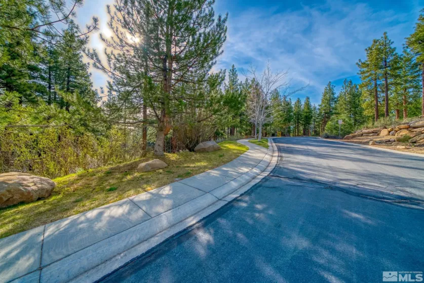 22 Rose Creek Ln, Reno, Nevada 89511, ,Land,For Sale,Rose Creek Ln,240005742