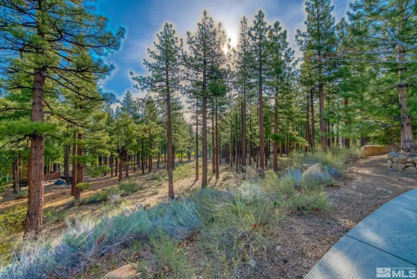 22 Rose Creek Ln, Reno, Nevada 89511, ,Land,For Sale,Rose Creek Ln,240005742