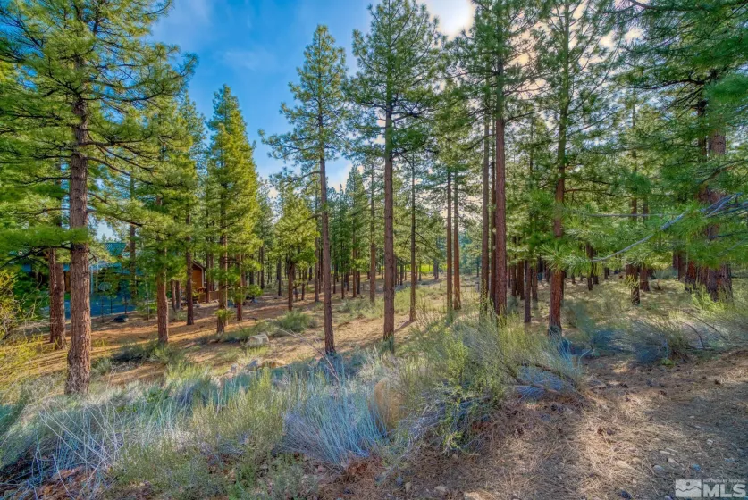 22 Rose Creek Ln, Reno, Nevada 89511, ,Land,For Sale,Rose Creek Ln,240005742