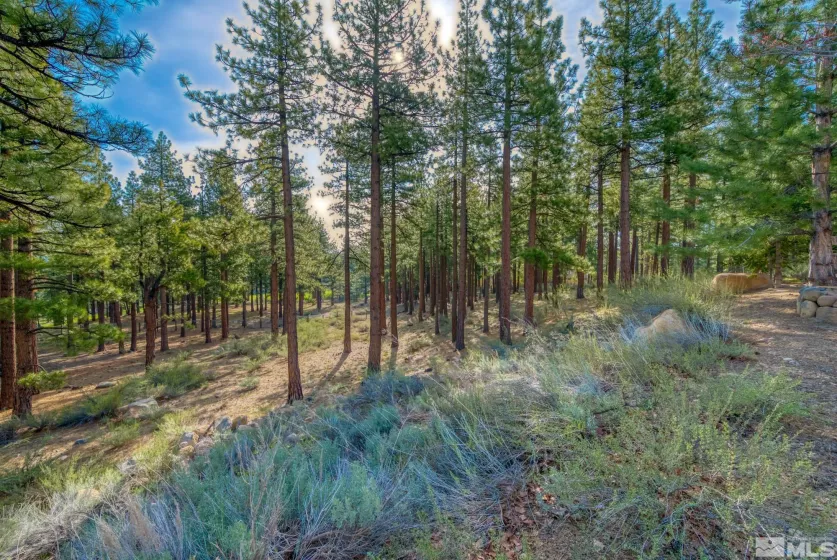 22 Rose Creek Ln, Reno, Nevada 89511, ,Land,For Sale,Rose Creek Ln,240005742