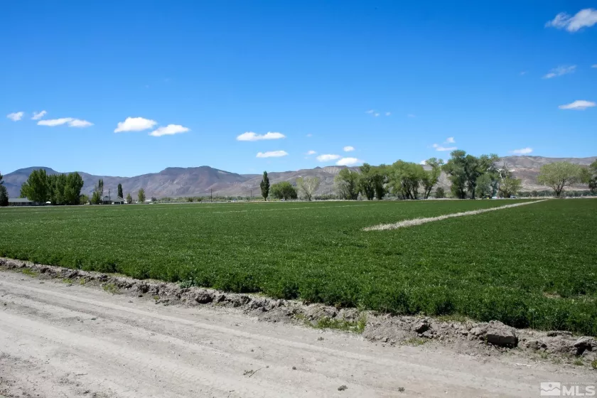 39 Baker Ln, Yerington, Nevada 89447, 4 Bedrooms Bedrooms, ,3 BathroomsBathrooms,Residential,For Sale,Baker Ln,240005873