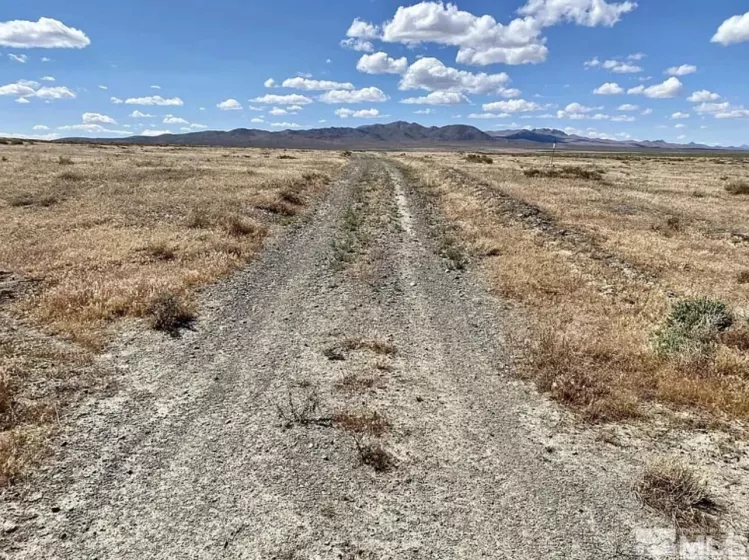 00225006 Backside Rye Patch Rd., Lovelock, Nevada 89419, ,Land,For Sale Or Lease Option,Backside Rye Patch Rd.,230012411