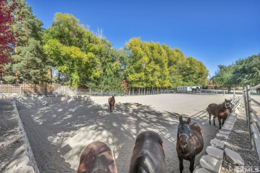 1865 Olive Ln, Reno, Nevada 89511, 4 Bedrooms Bedrooms, ,3 BathroomsBathrooms,Residential,For Sale,Olive Ln,240013789