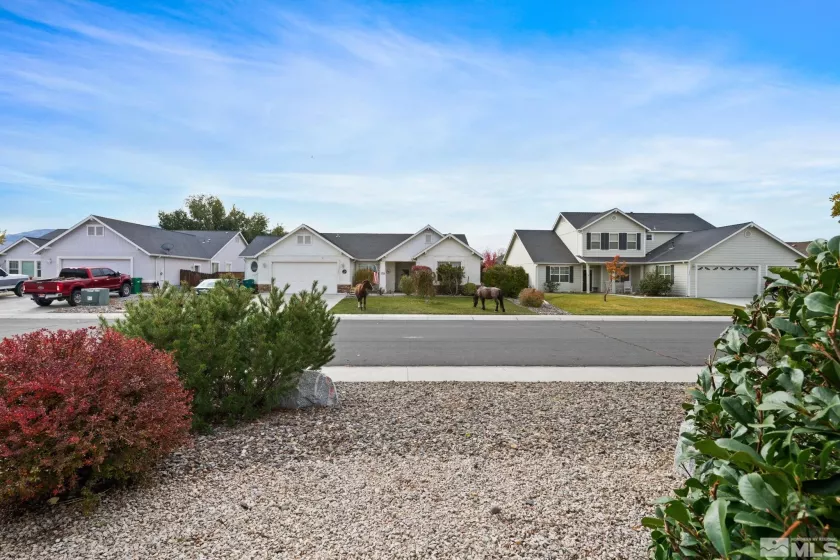 190 Shady Grove Lane, Dayton, Nevada 89403, 3 Bedrooms Bedrooms, ,2 BathroomsBathrooms,Residential,For Sale,Shady Grove Lane,240013963