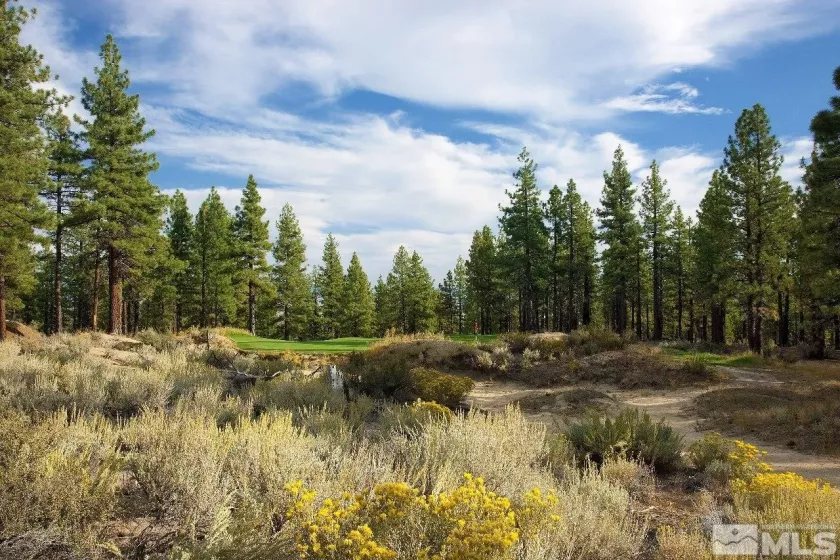 283 Mill Race Loop, Carson City, Nevada 89705, ,Land,For Sale,Mill Race Loop,240014341