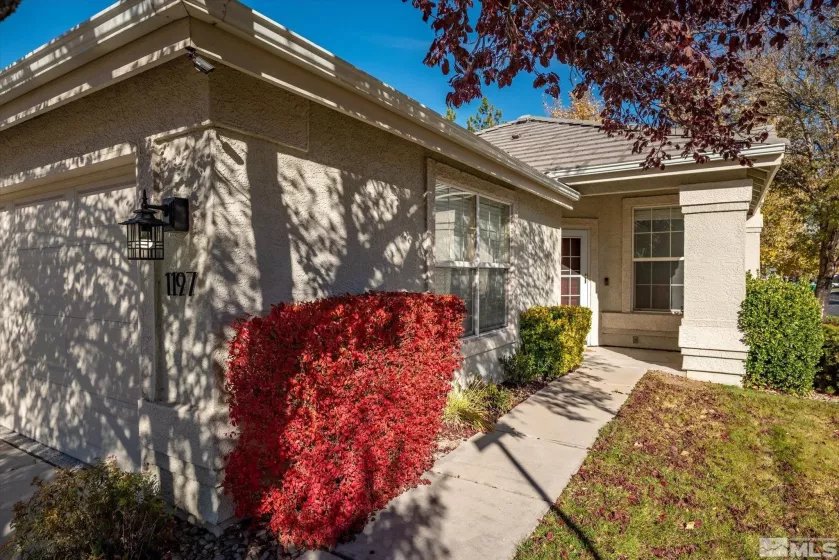 1197 Tule Dr, Reno, Nevada 89521, 2 Bedrooms Bedrooms, ,2 BathroomsBathrooms,Residential,For Sale,Tule Dr,240014361