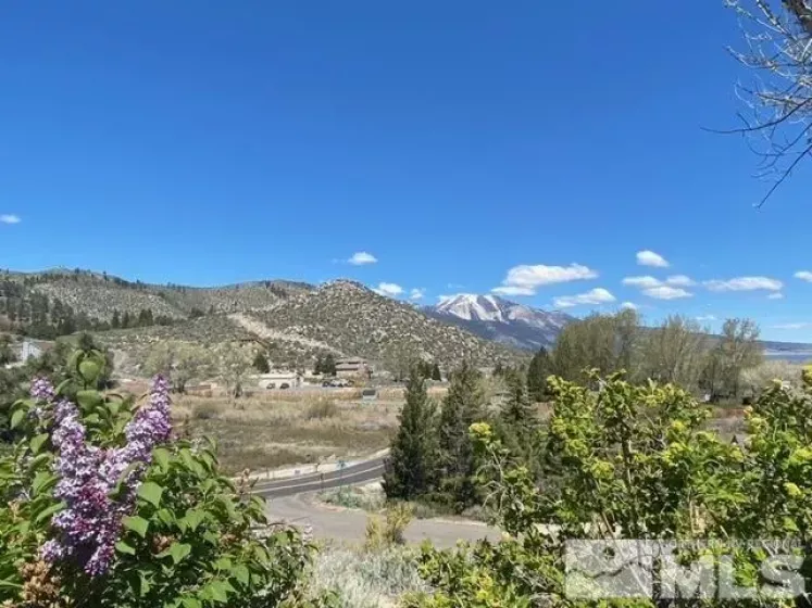 3611 LAKEVIEW RD, Carson City, Nevada 89703, 4 Bedrooms Bedrooms, ,2 BathroomsBathrooms,Residential,For Sale,LAKEVIEW RD,240005826