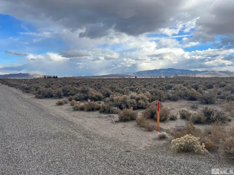 6 Acciari Rd, Smith, Nevada 89430, ,Land,For Sale,Acciari Rd,230013590