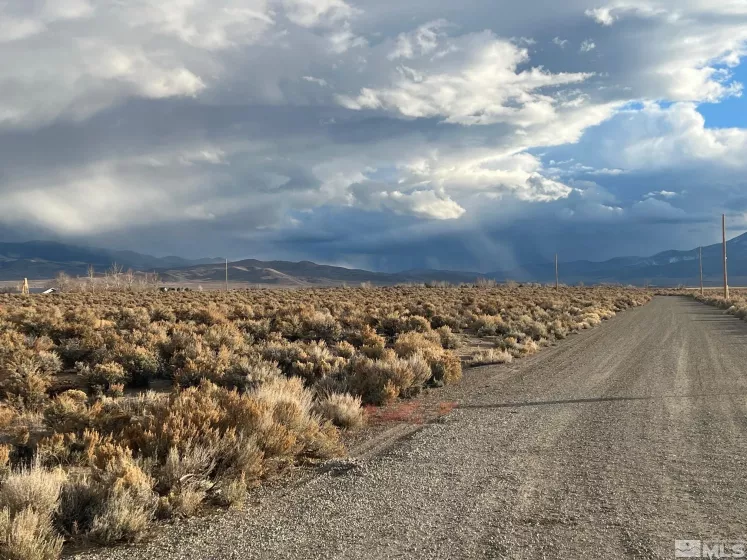 6 Acciari Rd, Smith, Nevada 89430, ,Land,For Sale,Acciari Rd,230013590