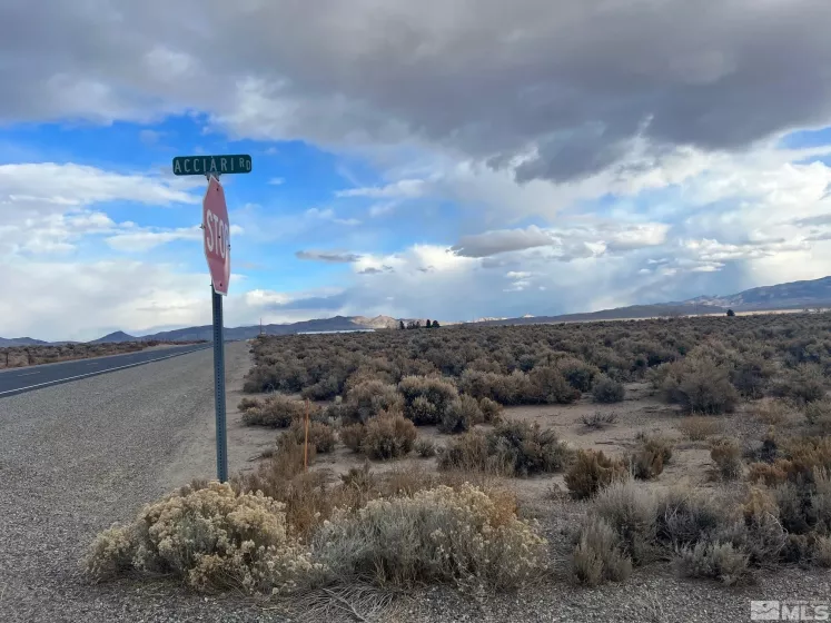 6 Acciari Rd, Smith, Nevada 89430, ,Land,For Sale,Acciari Rd,230013590