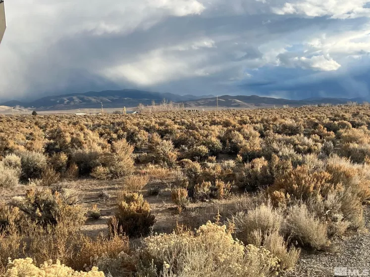 6 Acciari Rd, Smith, Nevada 89430, ,Land,For Sale,Acciari Rd,230013590