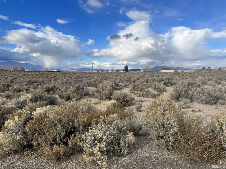 62 Acciari Rd, Smith, Nevada 89430, ,Land,For Sale,Acciari Rd,230013586