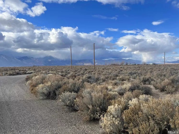 62 Acciari Rd, Smith, Nevada 89430, ,Land,For Sale,Acciari Rd,230013586