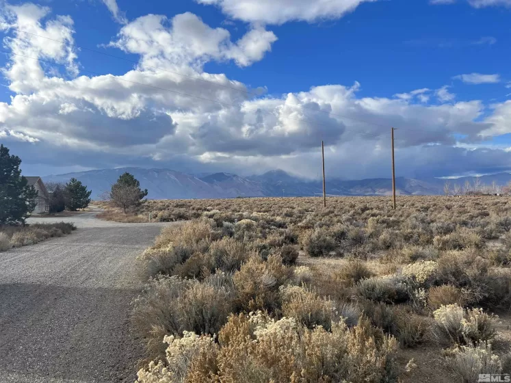 62 Acciari Rd, Smith, Nevada 89430, ,Land,For Sale,Acciari Rd,230013586