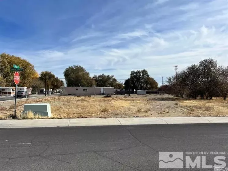 321 Silver Spur Dr, Fallon, Nevada 89406, ,Land,For Sale,Silver Spur Dr,240014925