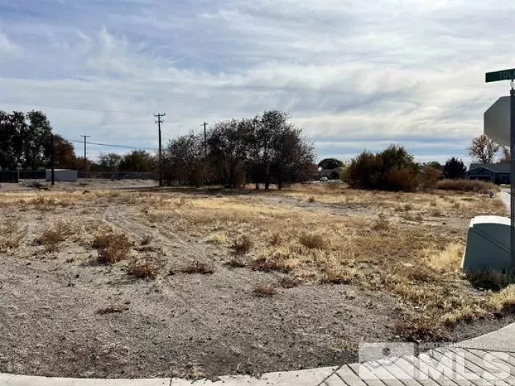 321 Silver Spur Dr, Fallon, Nevada 89406, ,Land,For Sale,Silver Spur Dr,240014925