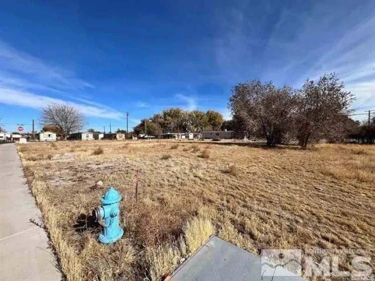 321 Silver Spur Dr, Fallon, Nevada 89406, ,Land,For Sale,Silver Spur Dr,240014925