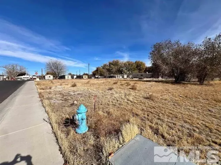 321 Silver Spur Dr, Fallon, Nevada 89406, ,Land,For Sale,Silver Spur Dr,240014925