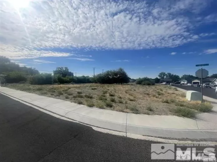 321 Silver Spur Dr, Fallon, Nevada 89406, ,Land,For Sale,Silver Spur Dr,240014925