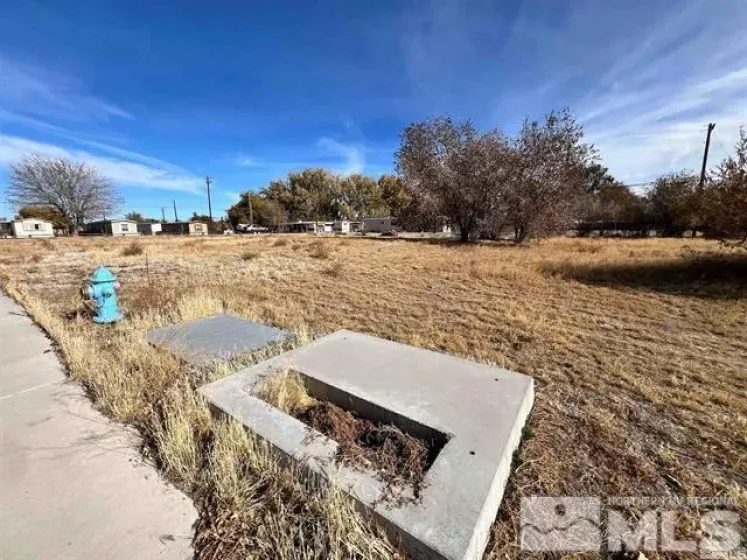 321 Silver Spur Dr, Fallon, Nevada 89406, ,Land,For Sale,Silver Spur Dr,240014925