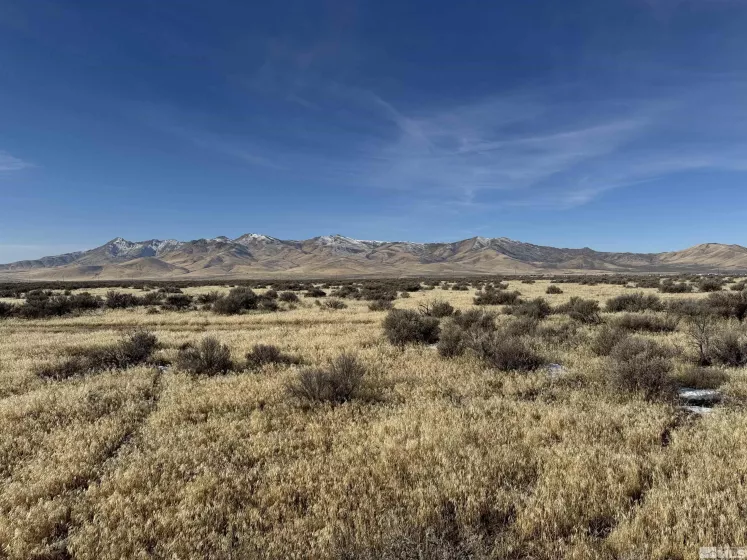 0 Springfield Rd, Winnemucca, Nevada 89445, ,Land,For Sale,Springfield Rd,240014990