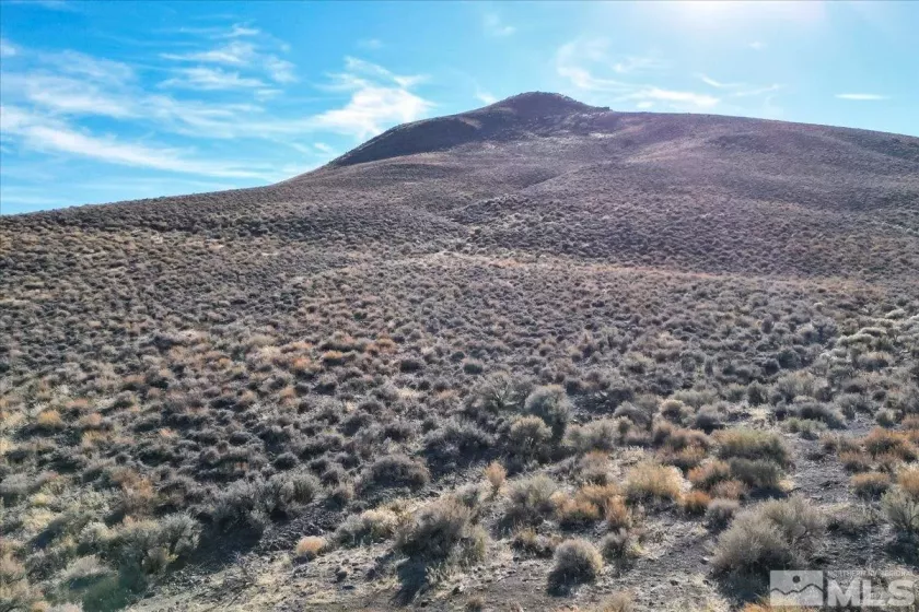 2919 State Route 208, Wellington, Nevada 89444, ,Land,For Sale,State Route 208,240015061