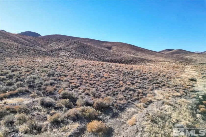 2919 State Route 208, Wellington, Nevada 89444, ,Land,For Sale,State Route 208,240015061