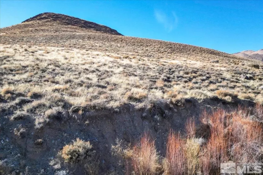 2919 State Route 208, Wellington, Nevada 89444, ,Land,For Sale,State Route 208,240015061