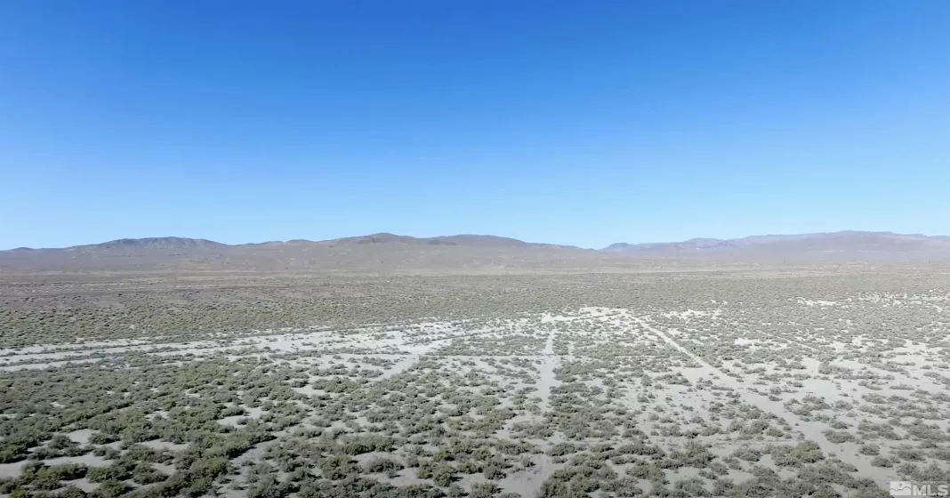 Lots 00739103 & 00739104, Lovelock, Nevada 89419, ,Land,For Sale,00739103 & 00739104,240000999