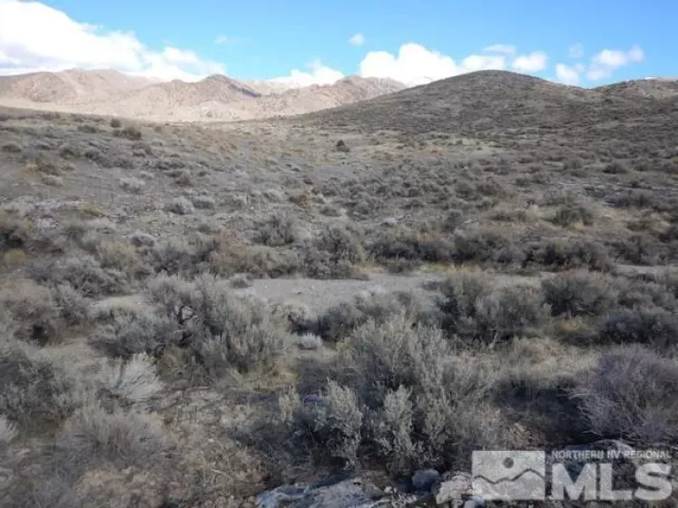 11230 Winter River Dr, Lovelock, Nevada 89419, ,Land,For Sale,Winter River Dr,240000993