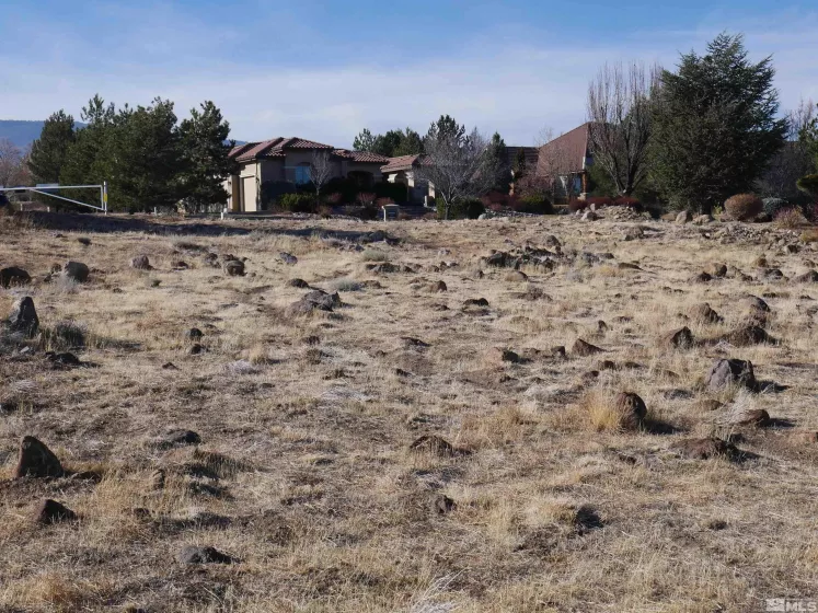 1235 Springer Ct, Reno, Nevada 89511, ,Land,For Sale,Springer Ct,240015133