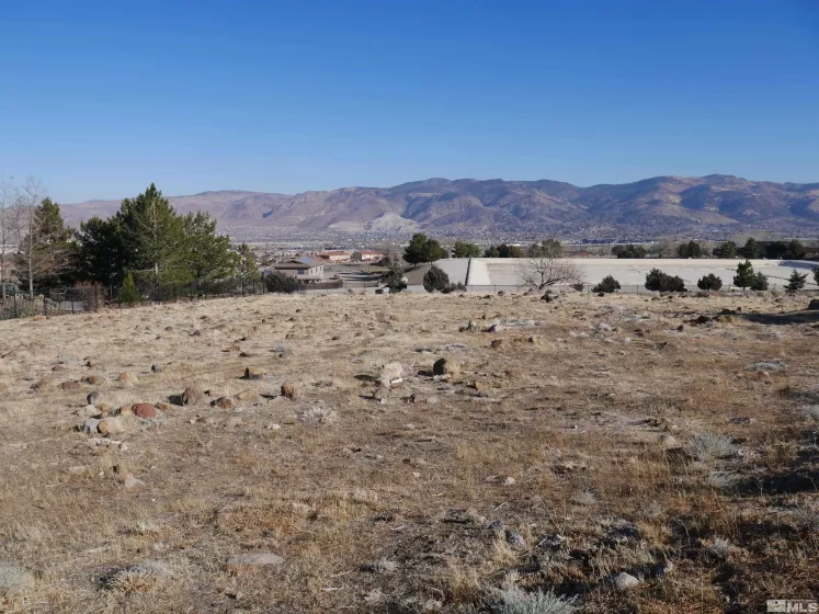 1235 Springer Ct, Reno, Nevada 89511, ,Land,For Sale,Springer Ct,240015133