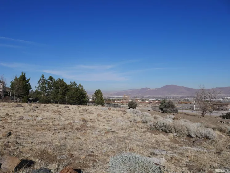 1235 Springer Ct, Reno, Nevada 89511, ,Land,For Sale,Springer Ct,240015133