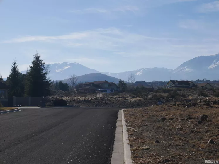 1235 Springer Ct, Reno, Nevada 89511, ,Land,For Sale,Springer Ct,240015133