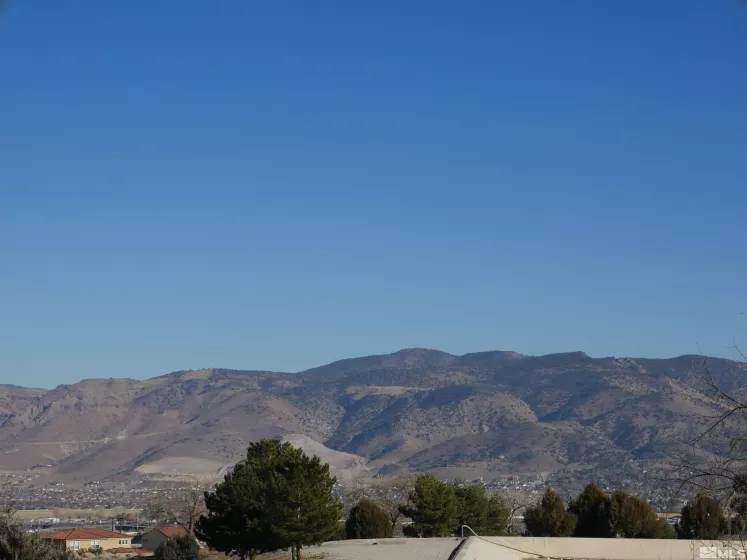 1235 Springer Ct, Reno, Nevada 89511, ,Land,For Sale,Springer Ct,240015133