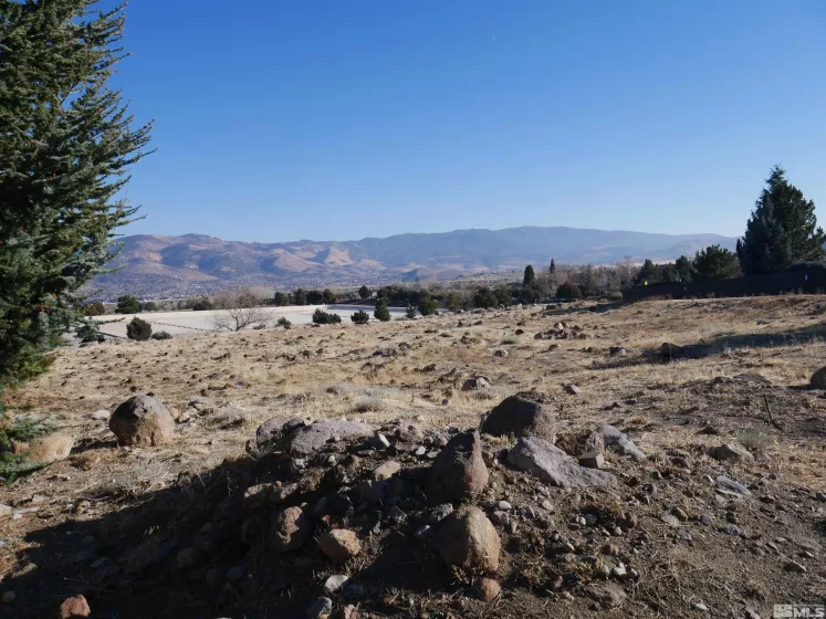 1235 Springer Ct, Reno, Nevada 89511, ,Land,For Sale,Springer Ct,240015133