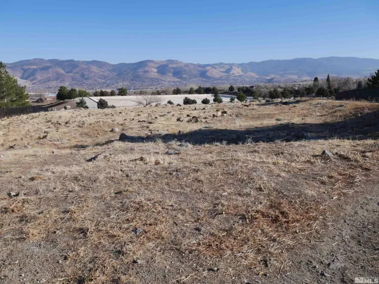 1235 Springer Ct, Reno, Nevada 89511, ,Land,For Sale,Springer Ct,240015133