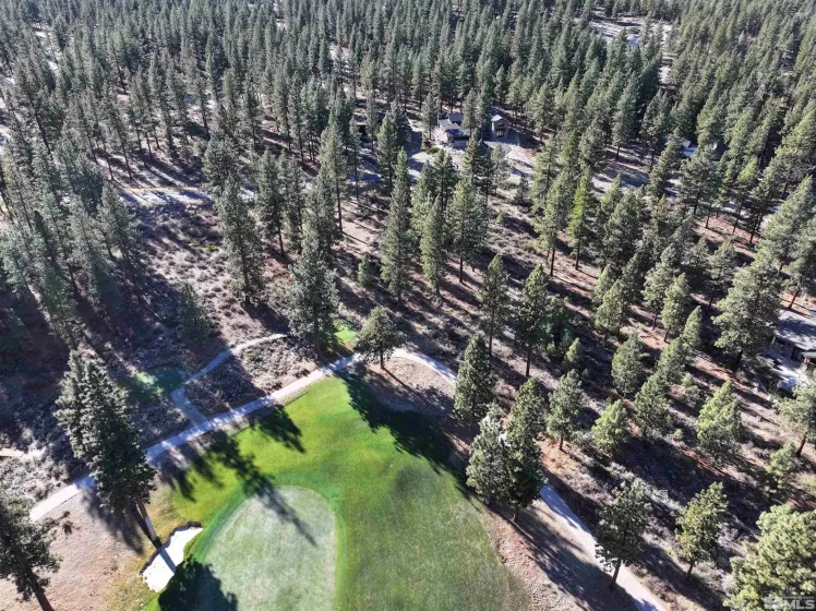 141 Walton Toll Rd, Carson City, California 89705, ,Land,For Sale,Walton Toll Rd,240015430