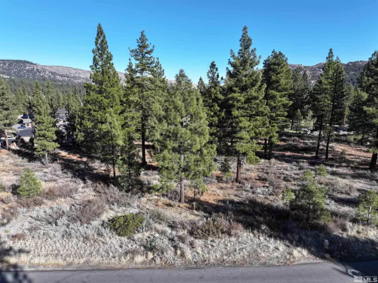 141 Walton Toll Rd, Carson City, California 89705, ,Land,For Sale,Walton Toll Rd,240015430