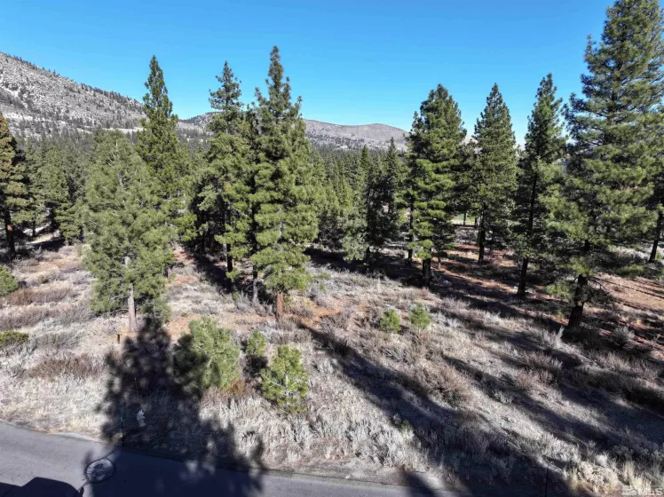 141 Walton Toll Rd, Carson City, California 89705, ,Land,For Sale,Walton Toll Rd,240015430