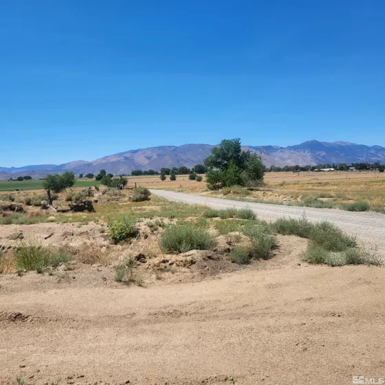 TBD Grant View, Wellington, Nevada 89444, ,Land,For Sale,Grant View,240015441