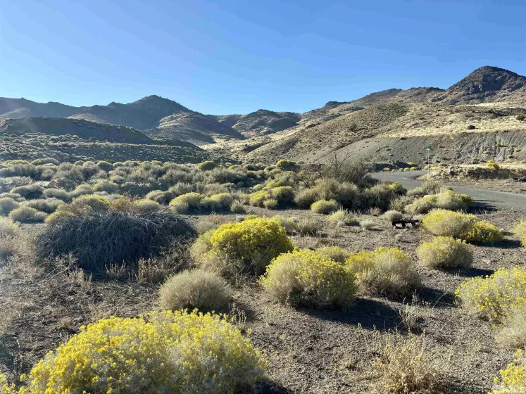 1 Sheep Camp, Dayton, Nevada 89403, ,Land,For Sale,Sheep Camp,240015499