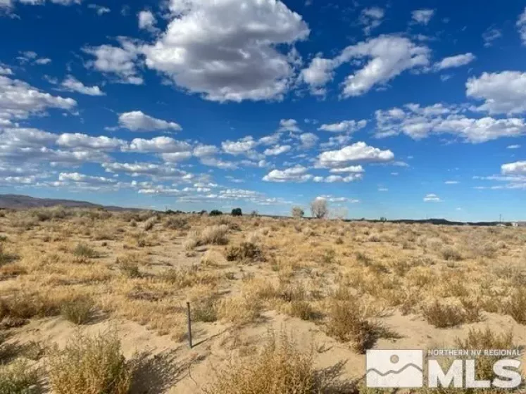 1595 Erimine, Silver Springs, Nevada 89429, ,Land,For Sale,Erimine,240015581